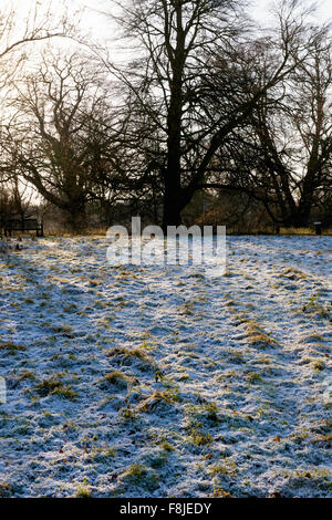 La mattina presto il gelo su un freddo inverno luminoso giorno Foto Stock