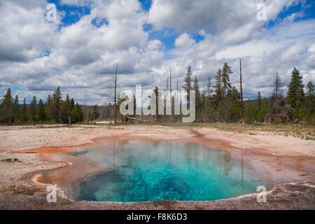 Molla di limone, Termica primavera calda lungo Firehole Lake Drive, il Parco Nazionale di Yellowstone, Wyoming USA Foto Stock