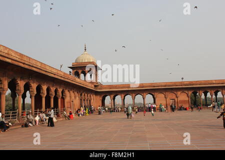 Delhi, India, 25 Novembre 2012: Jama Masjid di Delhi è la più grande moschea in India. La Jama Masjid sta attraversando la strada in Foto Stock