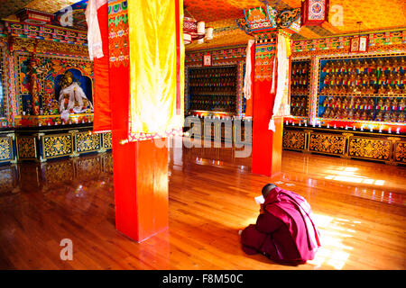 Le monache learning lavatrice meccanica,Susong monastero Buddista, Benzilan,nella provincia dello Yunnan,PRC,Repubblica Popolare di Cina Foto Stock