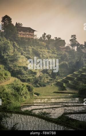 Vista in elevazione delle risaie a Longsheng ricefields terrazzati, Guangxi Zhuang, Cina Foto Stock