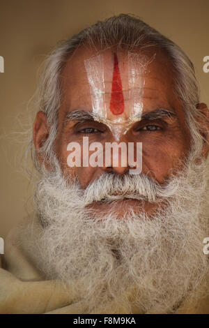 Jaipur, India, 30 Novembre 2012: uomo indiano con barba lunga e la tipica indiana simbolo tilak sulla fronte Foto Stock