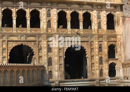 Jaipur, India, 30 Novembre 2012: Galta tempio (o le scimmie tempio).Galtaji è un antico pellegrinaggio indù sito nella città o Foto Stock