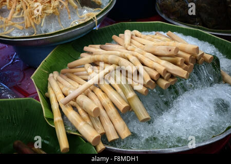 Germogli di bambù su ghiaccio preparato per la vendita in un mercato coperto in ther centro di Bangkok, Thailandia, Febbraio Foto Stock