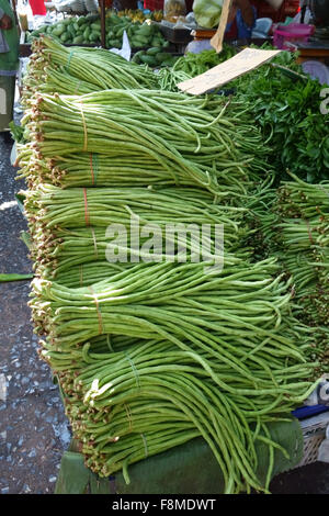 Chinese Long bean o bean di yardlong producono in Bangkok mercato coperto in Thailandia, Febbraio Foto Stock