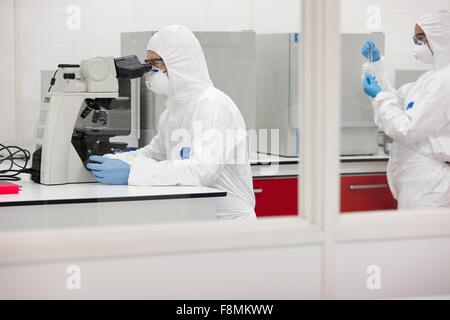 Scienziato usando microscopio in laboratorio Foto Stock