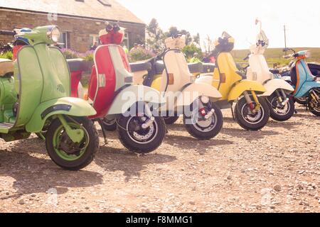 Colorato scooter parcheggiato in una riga Foto Stock