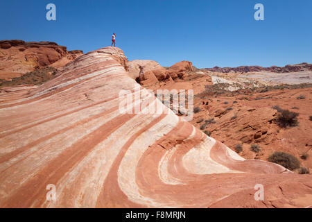 Ragazza, giacente nel deserto onda della Valle del Fuoco, Nevada Foto Stock