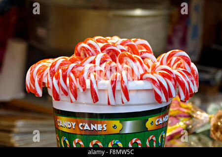 Il bianco e il rosso Candy canne in un contenitore in plastica, Germania, Europa Foto Stock