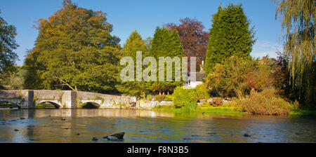 Pecore lavare ponte sopra il fiume Wye a Ashford sull'acqua Derbyshire, Inghilterra Foto Stock