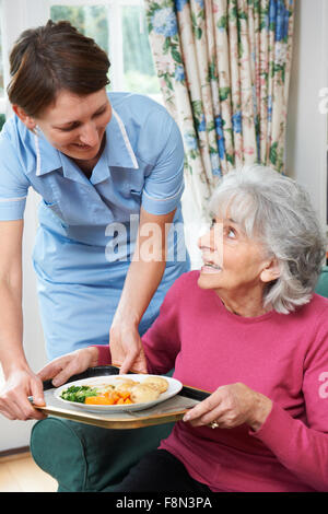 Accompagnatore che serve il pranzo a Senior Donna Foto Stock