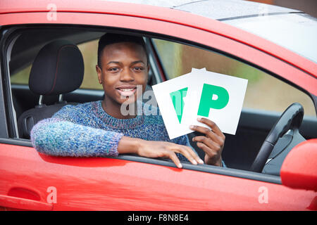 Ragazzo adolescente recentemente superato una prova di guida di contenimento delle piastre P Foto Stock