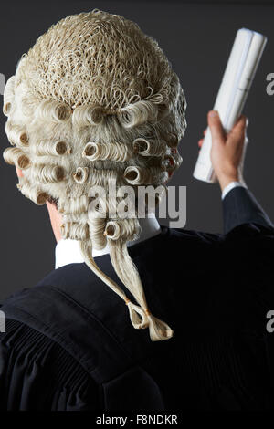 Avvocato rendendo il discorso in tribunale Foto Stock