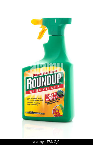 Erbicida Roundup Flacone Spray su sfondo bianco Foto Stock