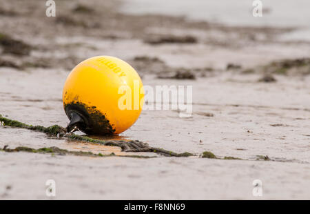 Giallo bouy sul fango appartamenti del cammello estuario, Padstow, Cornwall, Inghilterra. Foto Stock