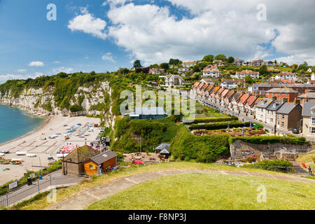 Affacciato sulla spiaggia villaggio alla birra in Lyme Bay Devon England Regno Unito Europa Foto Stock