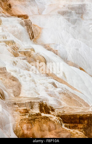 Flusso geotermico di caldo e ricco di carbonato di acqua, forma cascading, arancione scuro e bianco e travertino e terrazze di calcare. Foto Stock