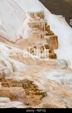 Flusso geotermico di caldo e ricco di carbonato di acqua, forma cascading, arancione scuro e bianco e travertino e terrazze di calcare. Foto Stock