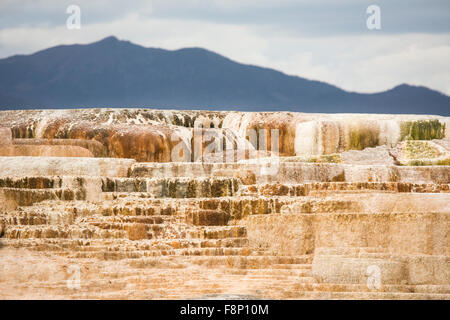 Flusso geotermico di caldo e ricco di carbonato di acqua, forma cascading, arancione scuro terrazze di travertino, con le montagne sullo sfondo Foto Stock