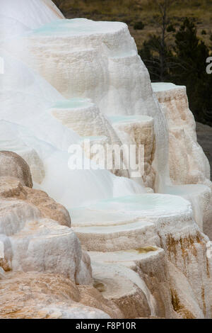 Flusso geotermico di caldo e ricco di carbonato di acqua, forma cascading, arancione scuro e bianco e travertino e terrazze di calcare. Foto Stock