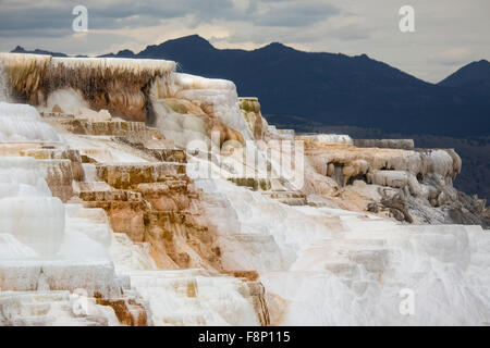 Flusso geotermico di caldo e ricco di carbonato di acqua, forma cascading, arancione scuro terrazze di travertino, con le montagne sullo sfondo Foto Stock