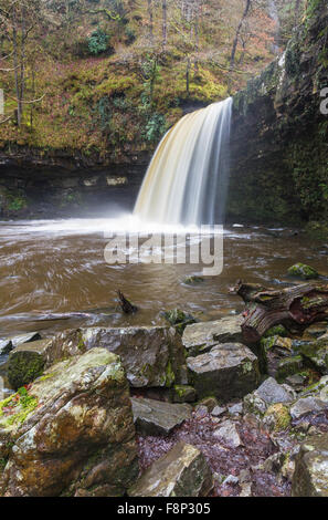 Sgwd Gwladus cade, cascata. Pontneddfechan, vale di Neath, Powys, Wales, Regno Unito, d'inverno. Foto Stock