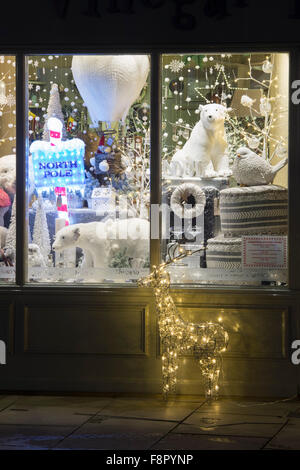 Shop di Natale e il display si illumina di notte in Stratford Upon Avon, Warwickshire, Inghilterra Foto Stock