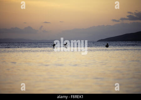 Le donne delle Fiji linea mano pesca sulla barriera corallina al tramonto con le pietre per peso e granchio eremita per esche. Foto Stock