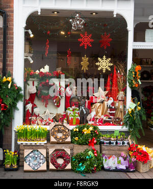 Le decorazioni di Natale sul display a Bridgnorth fioraio, Shropshire, Regno Unito. Foto Stock