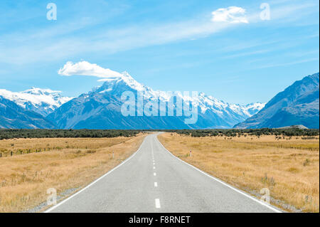 Paese di Mackenzie e Mount Cook, isola del Sud, Nuova Zelanda Foto Stock