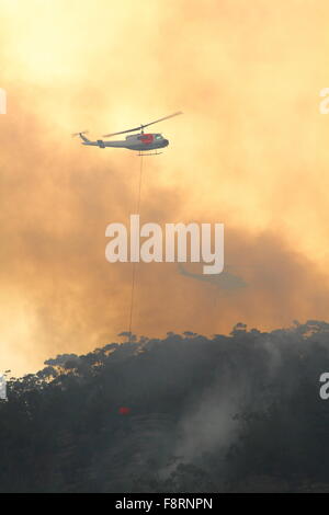 Illawarra scarpata, NSW, Australia. Undicesimo Dec, 2015. Acqua-bombardamento elicottero combattere il fuoco di bush a Maddens pianure sulla Illawarra scarpata, NSW, Australia. Credito: Andrew McInnes/Alamy Live News Foto Stock