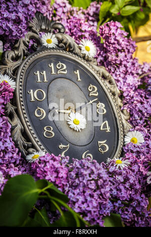 Orologio circondato da fiori di primavera. Profondità di campo con il fuoco selettivo su clock. Fiori lilla Foto Stock