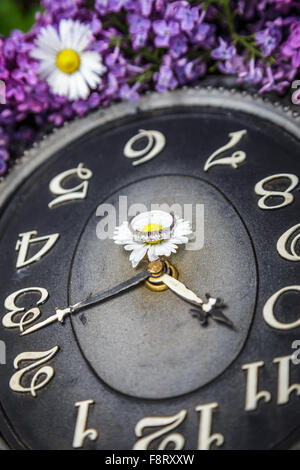 Orologio circondato da fiori di primavera. Profondità di campo con il fuoco selettivo su clock. Fiori lilla Foto Stock