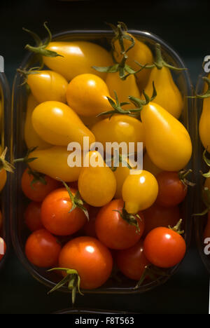 Il giallo e il rosso dei pomodori al mercato Cazals Foto Stock