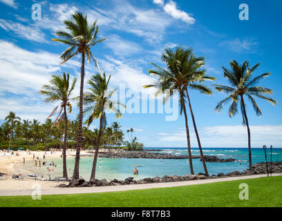 Una vista di Pauoa Bay e sulla spiaggia di proprietà di Fairmont Orchid, un hotel di lusso e resort sulla Costa di Kohala, Hawaii. Foto Stock