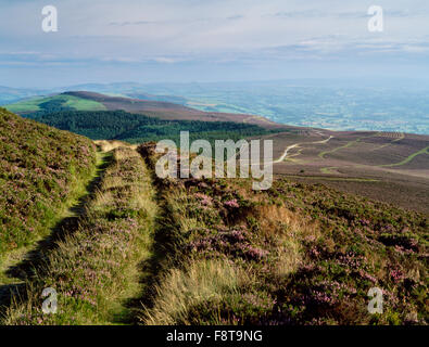 Guardando s dal vertice di Moel Famau lungo Offa's Dyke percorso al più bastioni di Foel Fenlli hillfort, il Clwydian Hills & Vale of Clwyd. Foto Stock