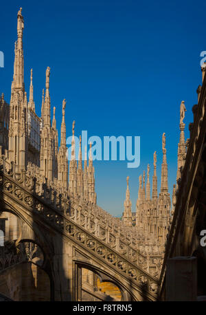 Milano, Provincia di Milano, lombardia, italia. Spires sul tetto del Duomo o Cattedrale. Foto Stock