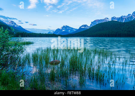 Abbassare Waterfowl Lake, il Parco Nazionale di Banff, Alberta, Canada Foto Stock