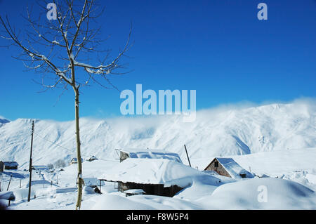 Albero e case sotto la neve in inverno - Gudauri, Georgia Foto Stock