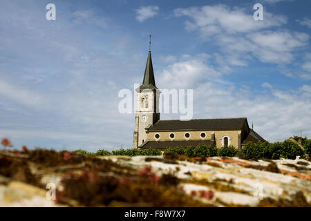 Chiesa rurale nella piccola città tra i vigneti di Ladoix-Serrigny, Beaune, Borgogna, Francia Foto Stock