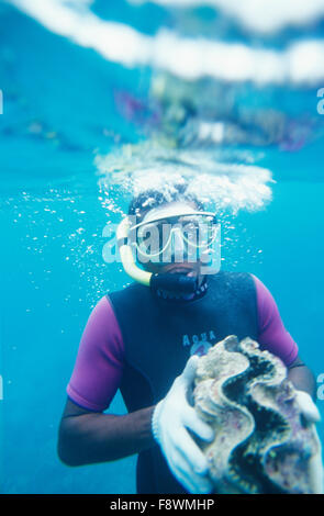 Vanua Levu, Isole Fiji, Nukubati Island Resort, il personale del resort subacqueo con Vongole Giganti, Tridacna squamosa Foto Stock