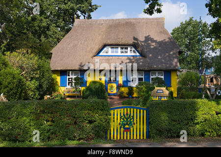 Casa di paglia, nato auf Darß, Fischland-Darß-Zingst, Meclenburgo-Pomerania Occidentale, Germania Foto Stock