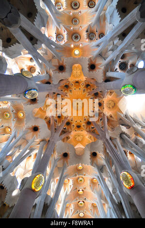 Soffitto della Sagrada Familia di Barcellona, ​​Catalonia, Spagna Foto Stock