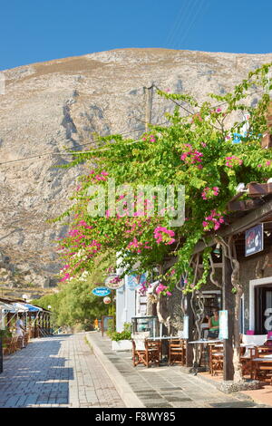 Fiori che crescono sulle case - Villaggio costale Kamari, isola di Santorini, Cicladi, Grecia Foto Stock