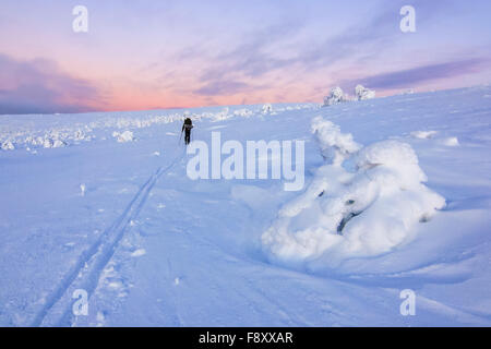 Sci di fondo in fells Foto Stock