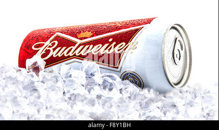 Possibile di birra Budweiser su un letto di ghiaccio su sfondo bianco Foto Stock