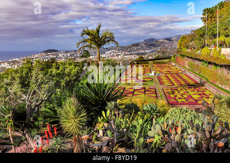 Giardino botanico di Funchal e vista panoramica della città in un giorno nuvoloso, Madeira, Portogallo Foto Stock