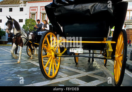 Carro trainato da cavalli in El Triunfo square. Siviglia, in Andalusia, Spagna. Foto Stock