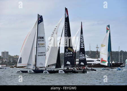 Sydney, Australia. 12 Dic, 2015. 2015 Extreme serie di vela. Extreme 40 Stadium di gara sul Porto di Sydney. Azione di gara sul porto. Credito: Azione Sport Plus/Alamy Live News Foto Stock