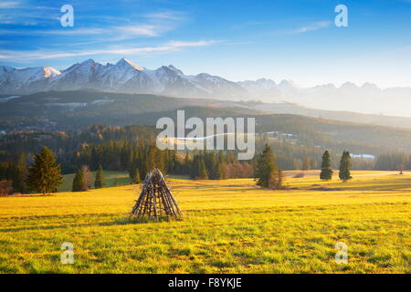 Regione di Podhale - vista degli Alti Tatra, vicino a Zakopane, Polonia Foto Stock